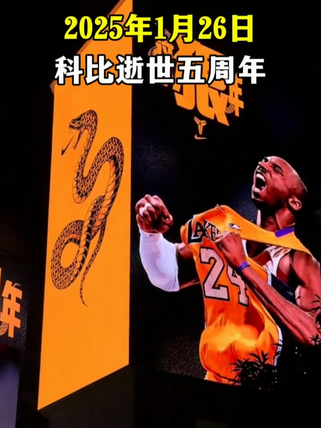 篮球巨星宣布退役决定，球迷感慨万千的简单介绍